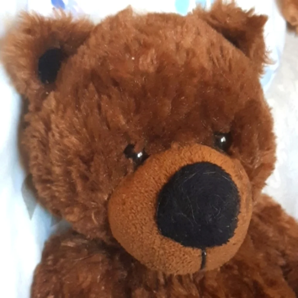 Big Foot Teddy Bear Brown Stuffed Animal plush kids toy Small bear BIG FEET